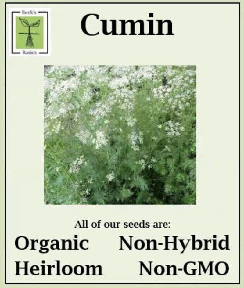 Cumin Seeds - ORGANIC, NON-GMO, NON-HYRID, HEIRLOOM SEEDS