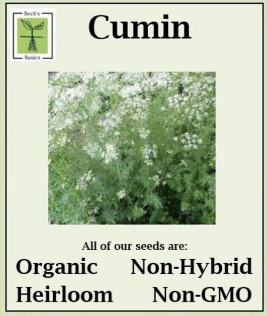 Cumin Seeds - ORGANIC, NON-GMO, NON-HYRID, HEIRLOOM SEEDS