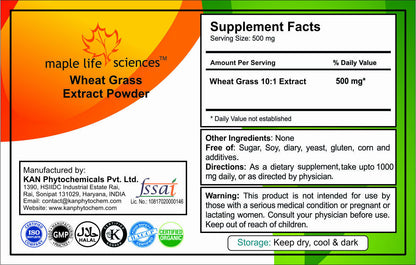 Wheat Grass 10:1 Extract Powder, Pure & High Quality, Antioxidant