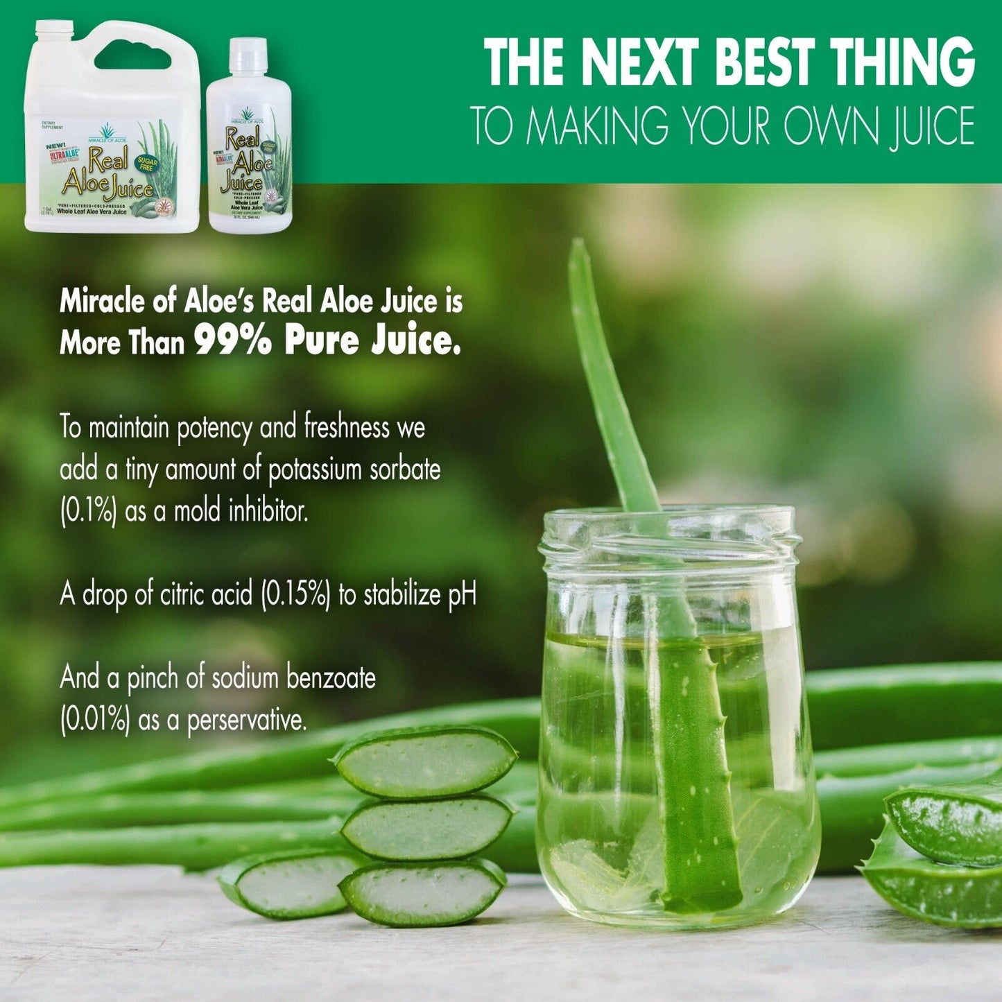 Real Aloe Whole-Leaf Pure Aloe Vera Juice Leaves Purified & Filtered (1 Gallon)