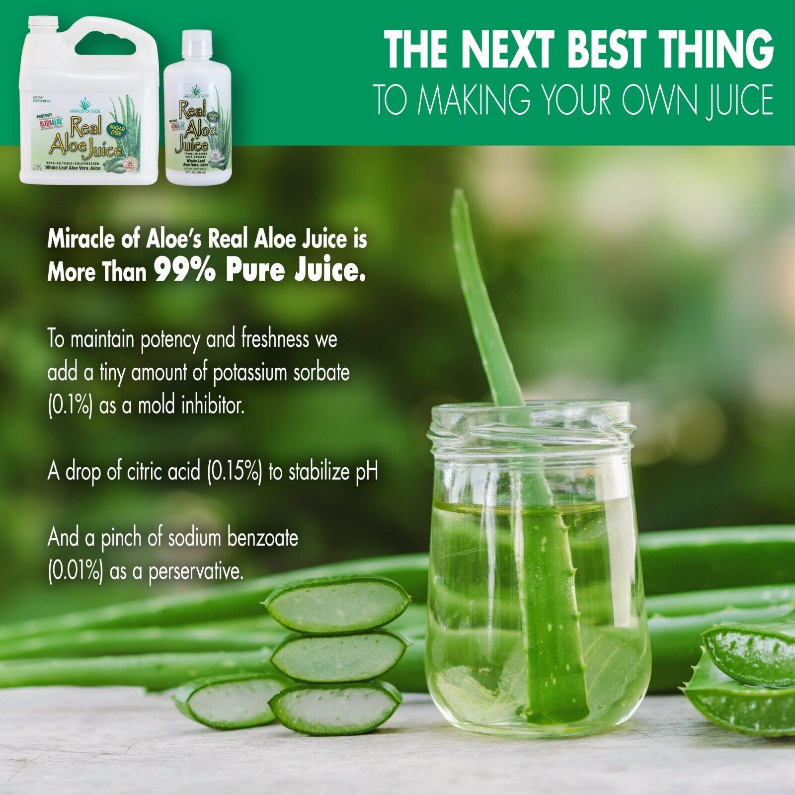 Real Aloe Whole-Leaf Pure Aloe Vera Juice Leaves Purified & Filtered (1 Gallon)