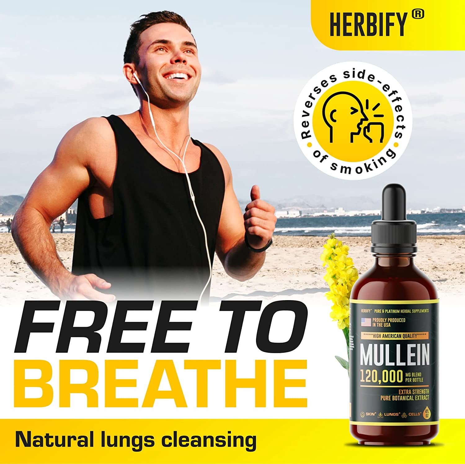 HERBIFY Mullein Drops - Lung Cleanse - Made in USA - Herbal Supplements - 4 Oz