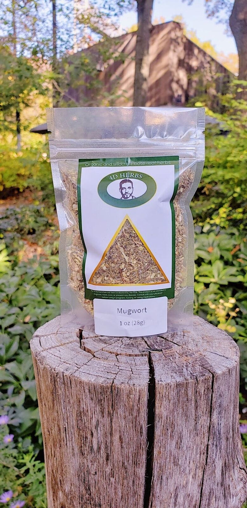 Organic Mugwort Tea Dried Artemisia Vulgaris Natural Herbal Ancient Herb