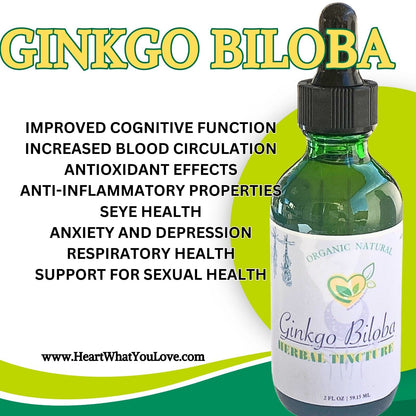 Ginkgo Biloba Tincture Organic Liquid Herbal Drops 2 OZ Cognitive Extract Bottle