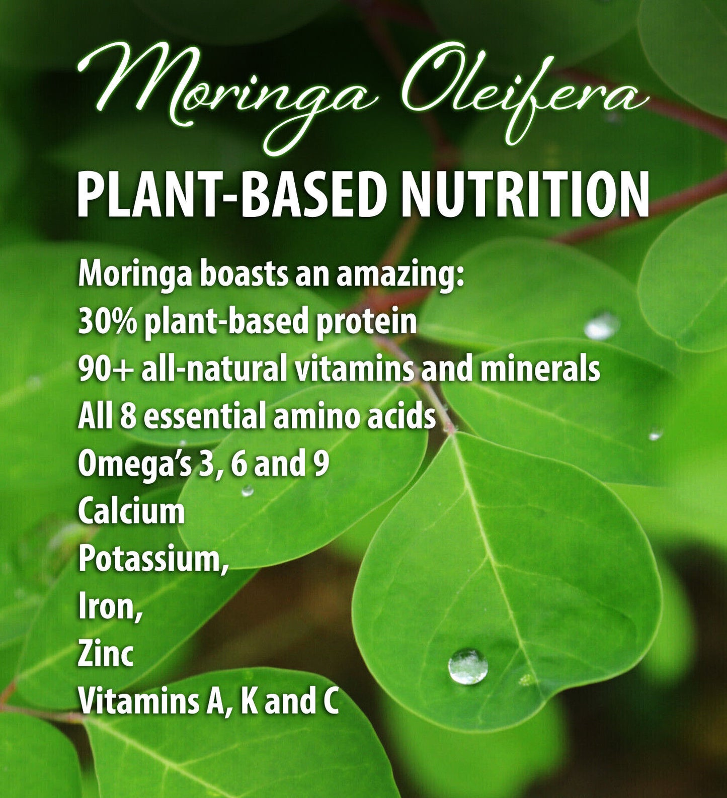 Moringa Peach Iced Tea - the Perfect Nutritious Summery Treat 8Oz