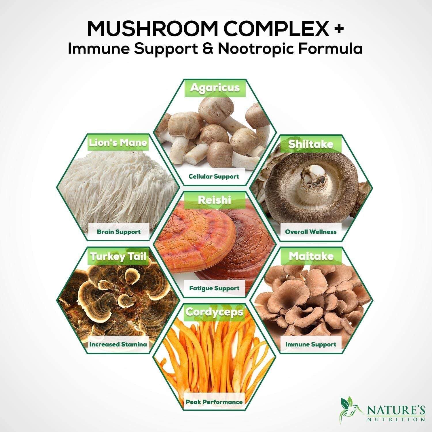 Mushroom Complex Supplement Capsules - 10 Mushrooms Lions Mane, Reishi, Chaga