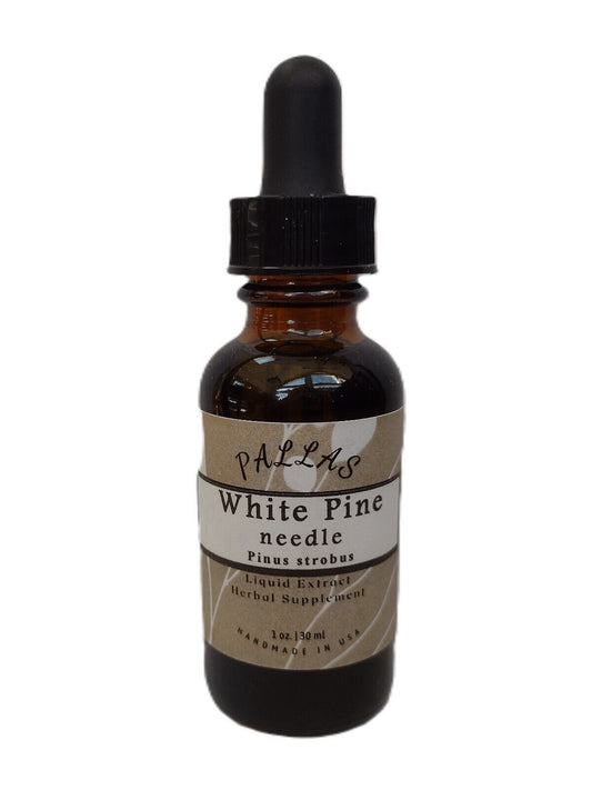 White Pine Needle Herbal Extract, Natural, 1 Fl Oz, Made in Maine