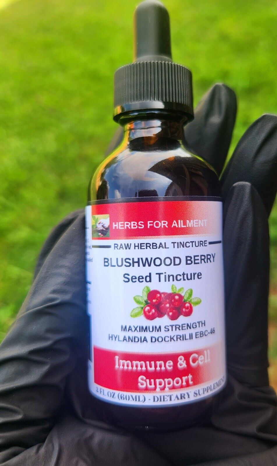 Blushwood Berry EBC46 Tincture/Immun