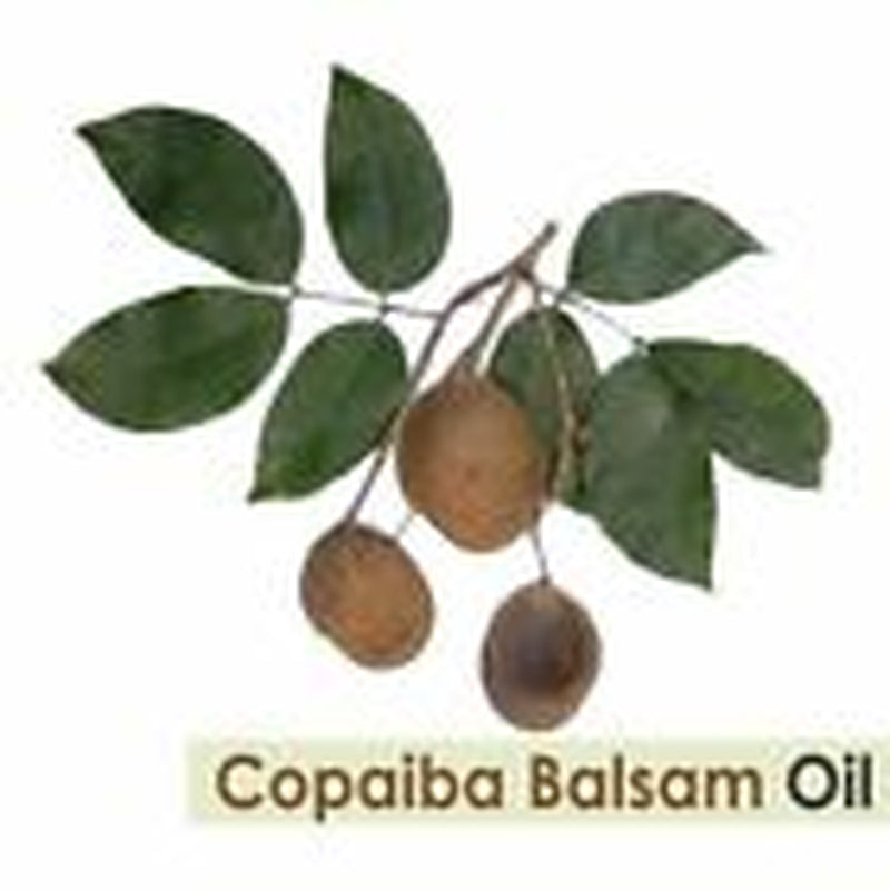 Copaiba Balsam (Copaifera Officina) 100% Pure & Natural Carrier Oil -[10Ml-25 L]