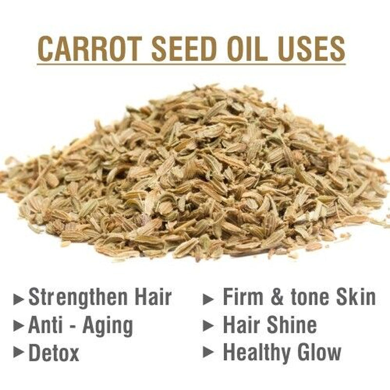 Carrot Seed (Daucus Carota L) 100% Pure & Natural Essential Oil - [10Ml-5000Ml]