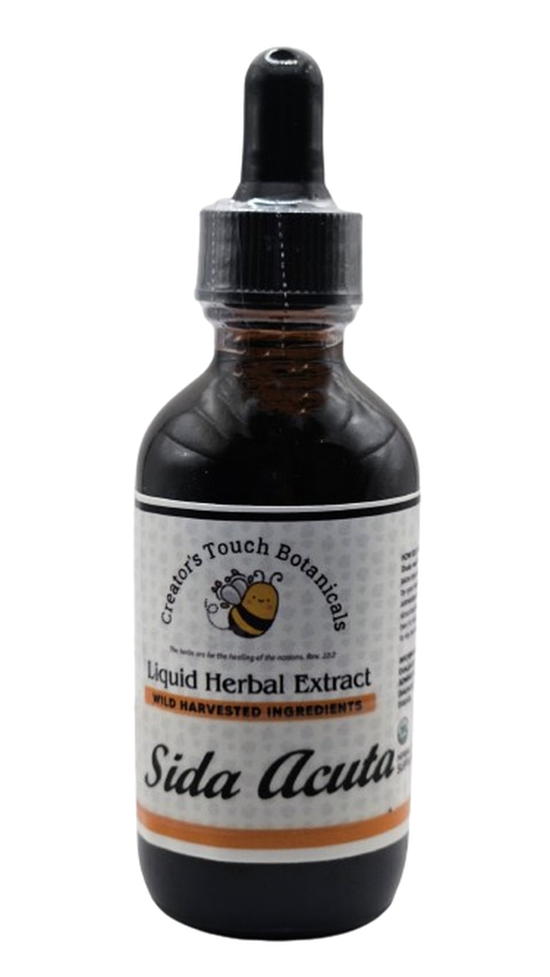 SIDA ACUTA LEAF, LIQUID HERBAL TINCTURE 2 FL. OZ. LYME (Sida Carpinifolia)