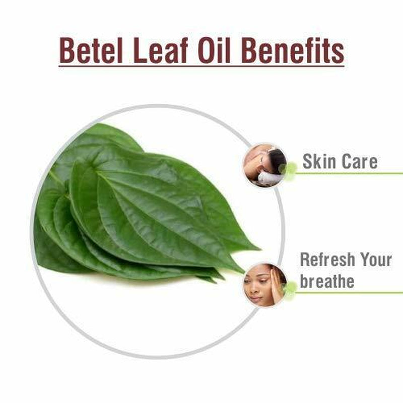 Betel Leaf (Piper Betle) 100% Pure & Natural Oil - {10Ml - 25 L}