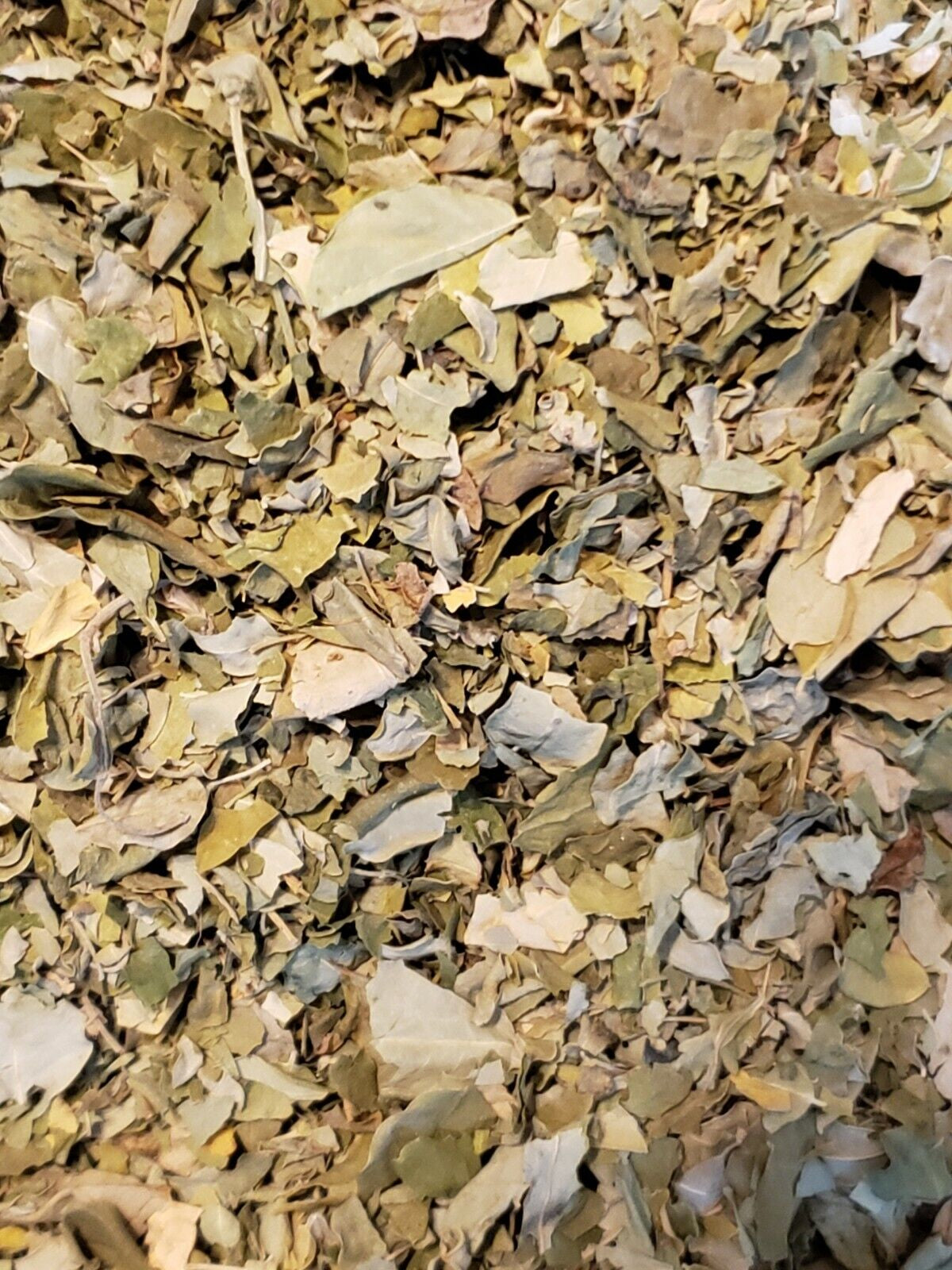 Moringa Loose Leaf Tea - Variety of Flavors!