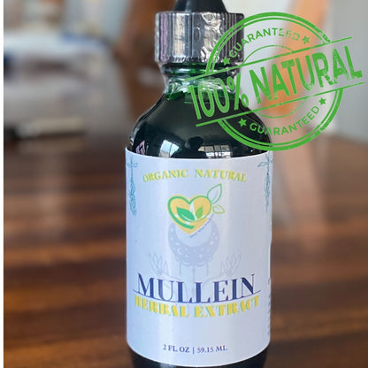 Mullein Leaf Non-Alcohol Extract Natural Liquid Drops 2 OZ Bottle Lungs Breath