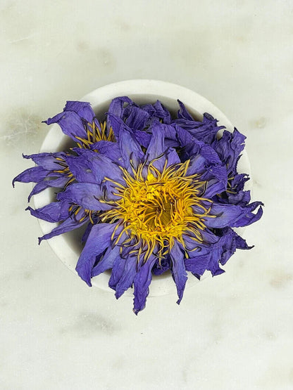 Whole Blue Lotus Flower Nymphaea Caerulea Hand Picked Natural Organic Herbal Tea