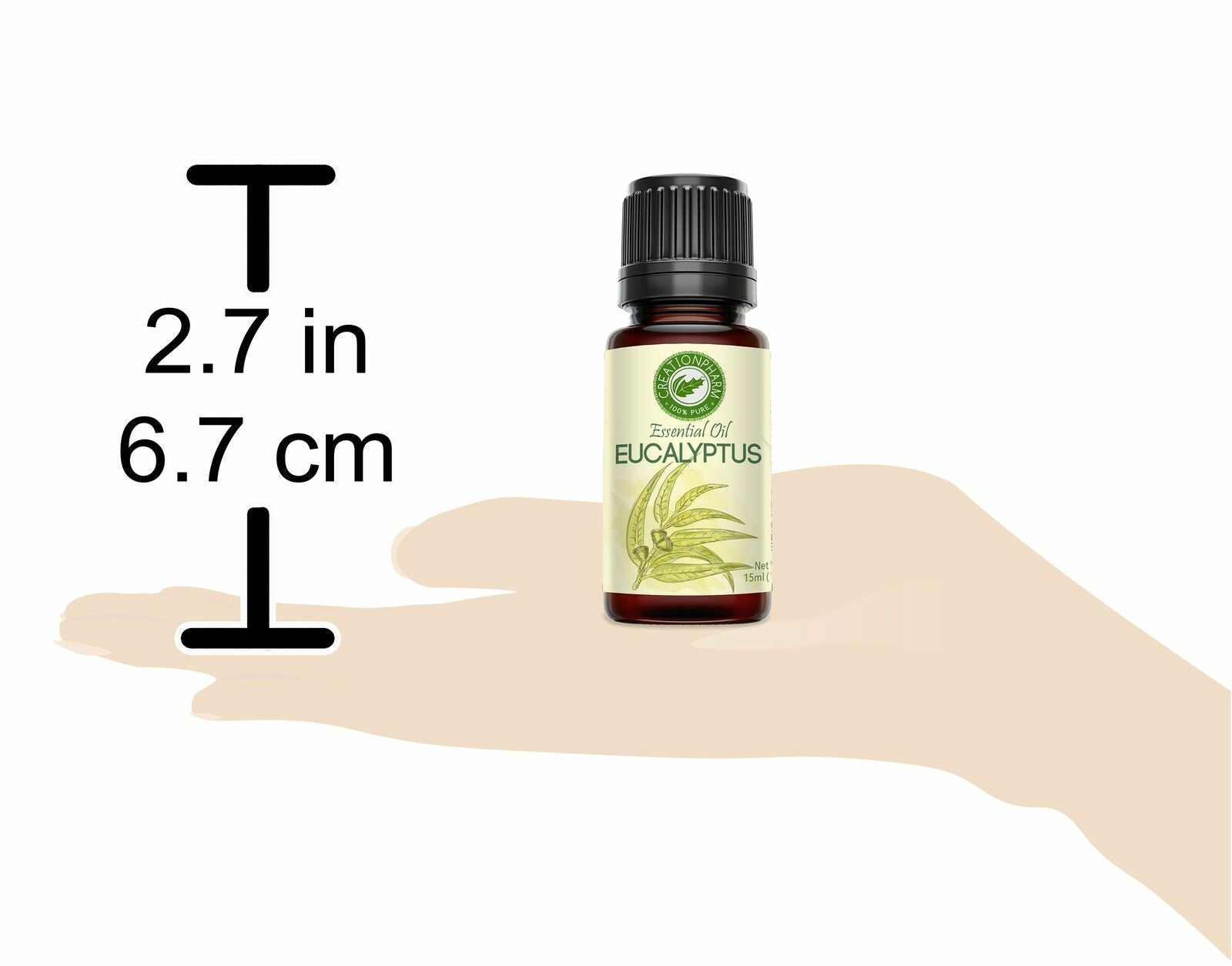 Eucalyptus Essential Oil from Creation Pharm