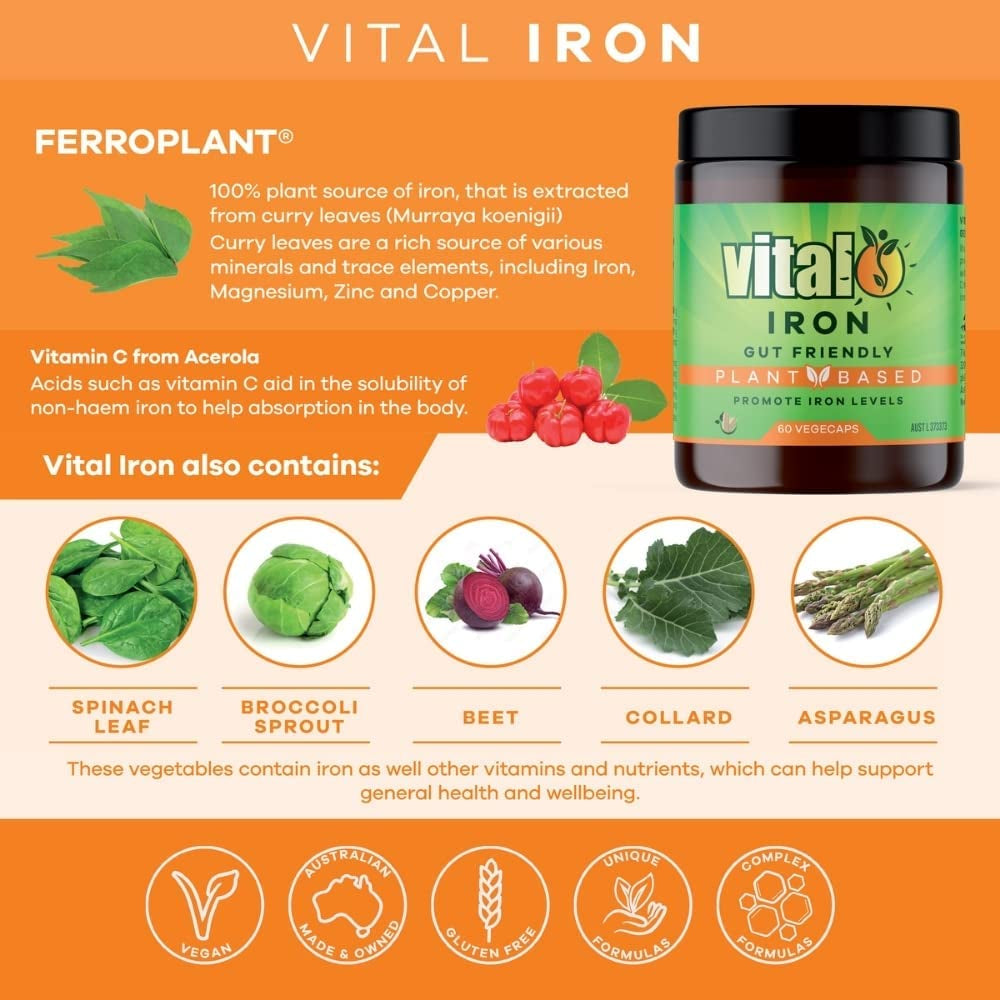 Plant Based Iron Supplement 60 Vegecaps