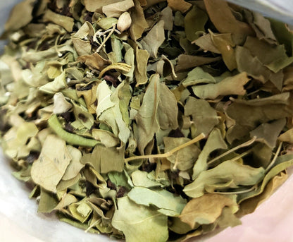 Moringa Loose Leaf Tea - Variety of Flavors!