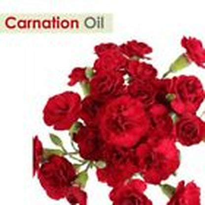 Salvia Carnation (Dianthus Caryophyllus) 100% Pure & Natural Essential Oil- 50Ml