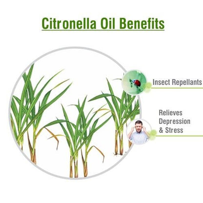 Citronella (Cymbopogon Nardus) 100% Pure & Natural Essential Oil {10Ml-5000Ml}.