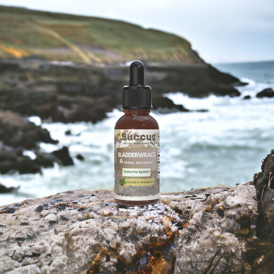 Bladderwrack Tincture (Alcohol Free) - Endocrine System Support