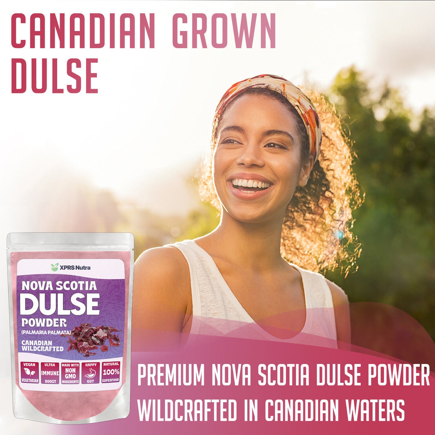 WILDCRAFTED NOVA SCOTIA DULSE POWDER Palmaria Palmata Seaweed for Thyroid Bones