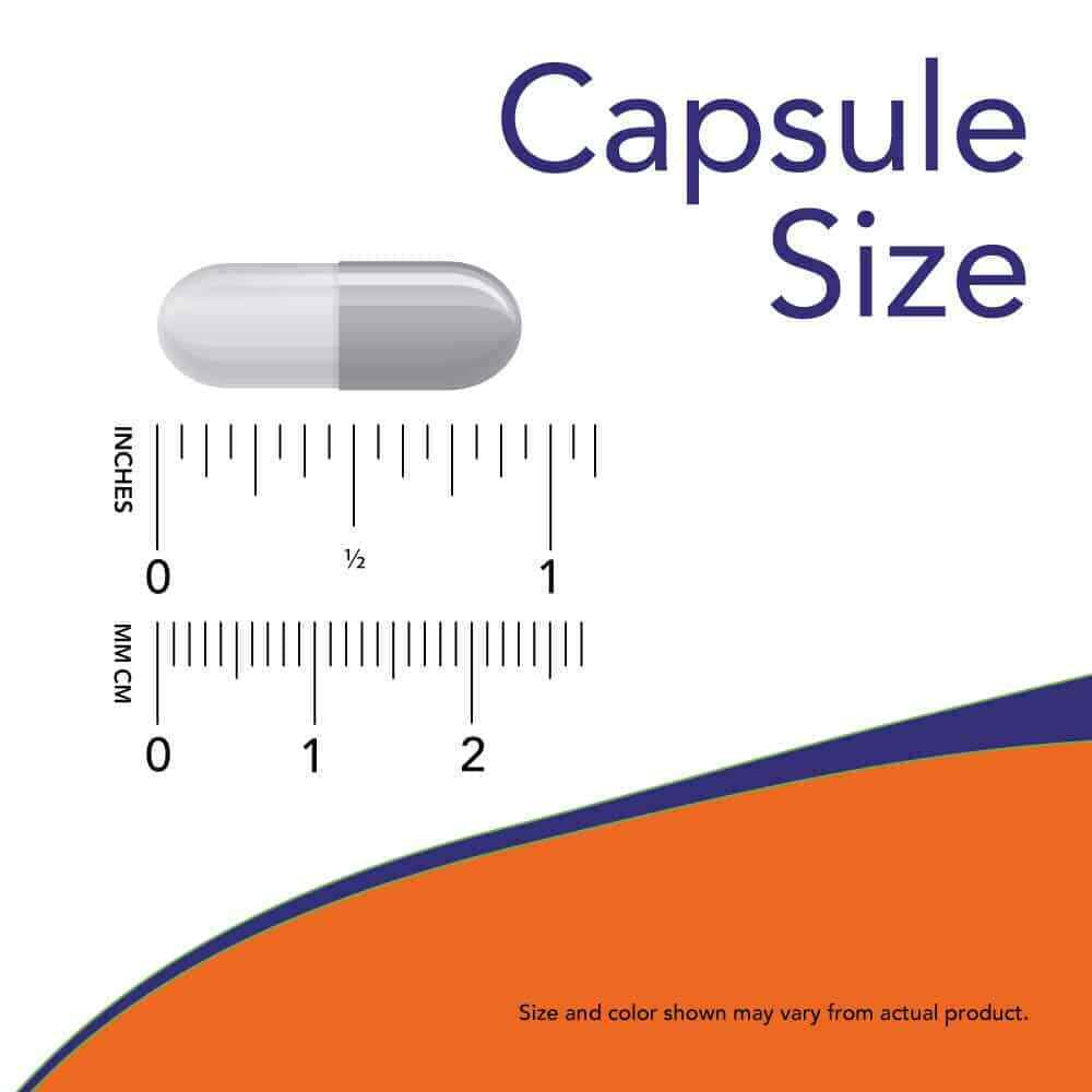 Ascorbyl Palmitate 500Mg (Vit C) 100 Veg Capsules