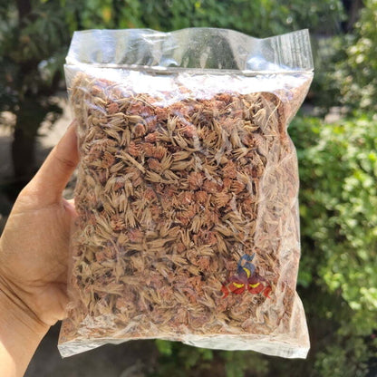 Dried Magilampoo Flower - Mimusops Elengi - Dry Spanish Cherry Flower