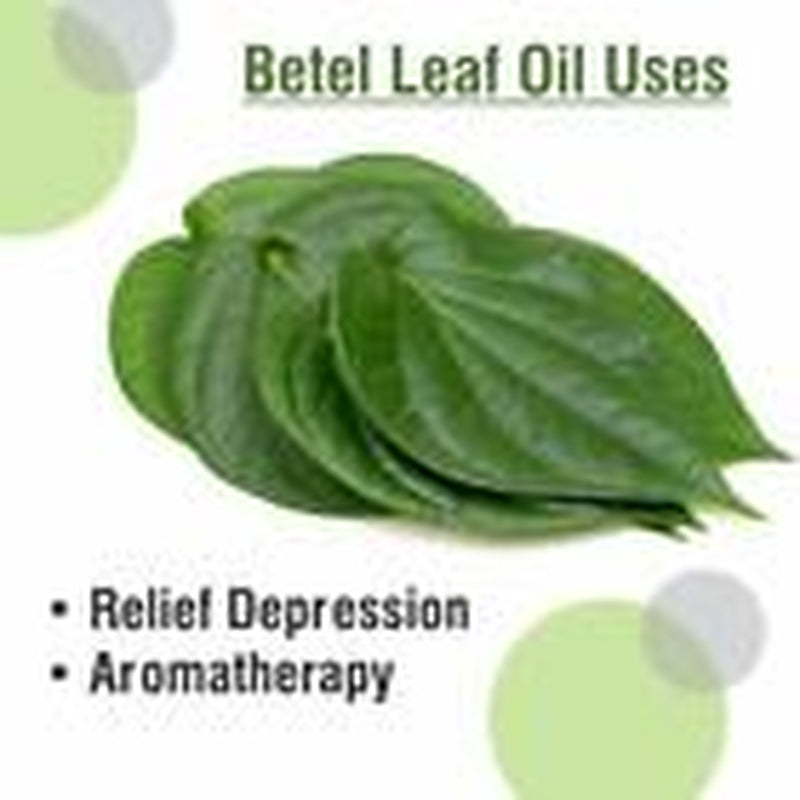 Betel Leaf (Piper Betle) 100% Pure & Natural Oil - {10Ml - 25 L}.