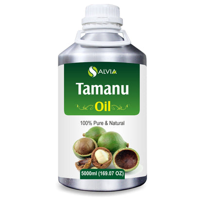 Tamanu (Calophyllum Inophyllum) 100% Pure & Natural Carrier Oil-[10Ml - 25 L].