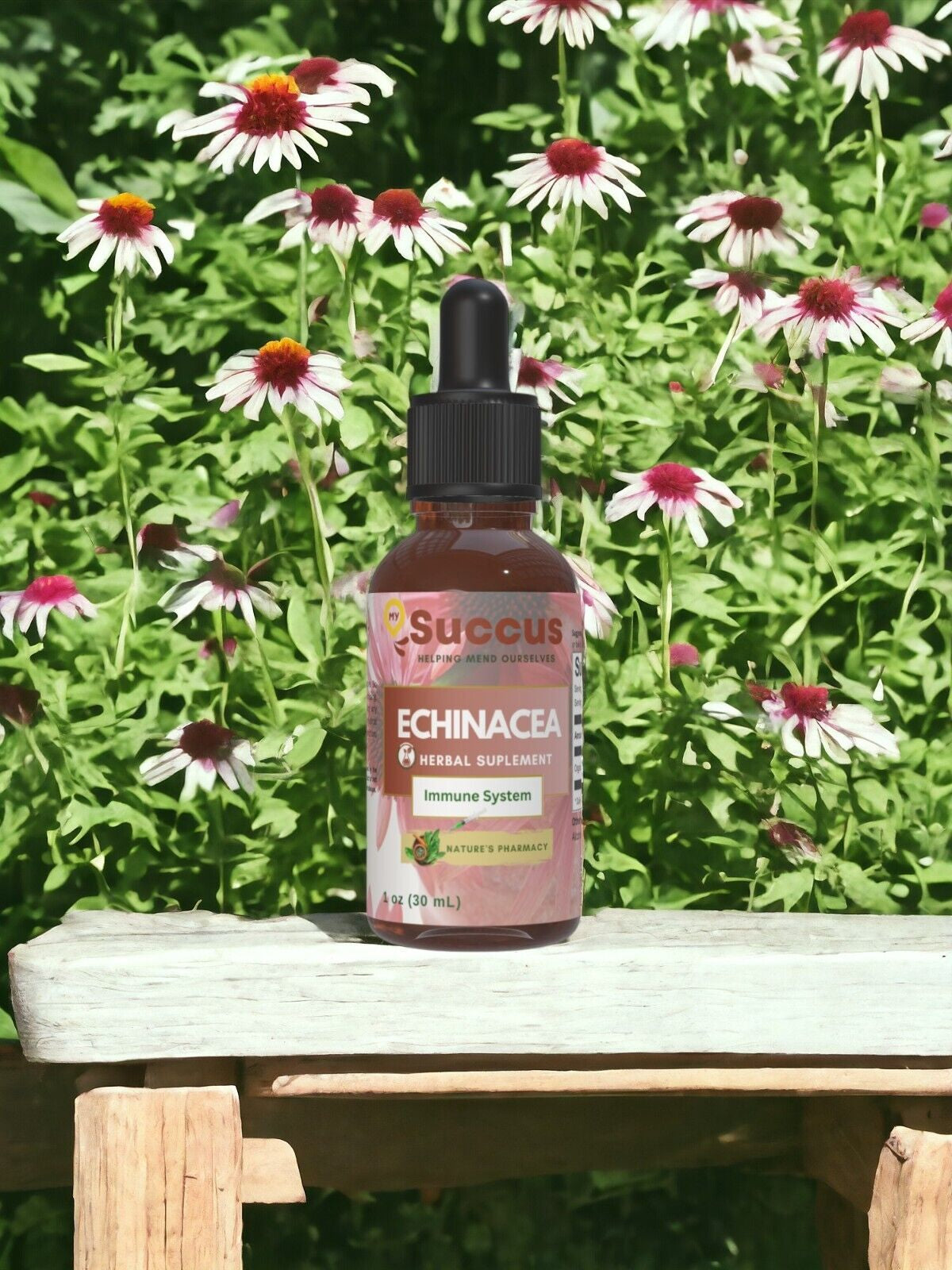 Echinacea Tincture - (Immune System)