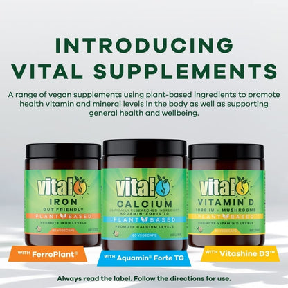 Plant Based Iron Supplement 60 Vegecaps