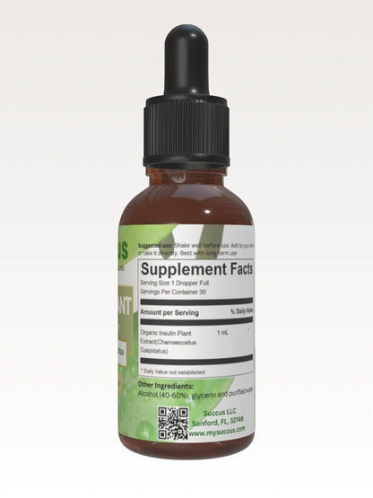 Insulin Plant Tincture - High Quality