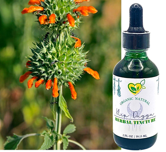 Lions Ear Tincture Organic Liquid Herbal Drops 2 Oz Pain Relax Dream Breath Aid