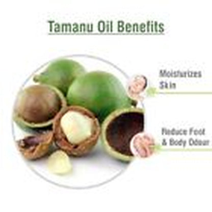 Tamanu (Calophyllum Inophyllum) 100% Pure & Natural Carrier Oil-[10Ml - 25 L].