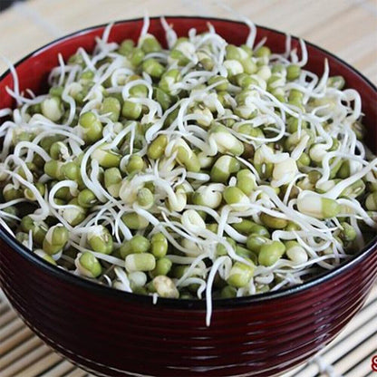 Organic Whole Mung Beans 'Moong'  Non GMO (Sproutable)