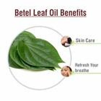 Betel Leaf (Piper Betle) 100% Pure & Natural Oil - {10Ml - 25 L}.