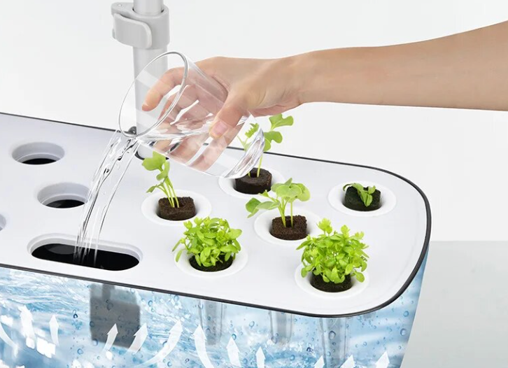 Indoor Veggie Patch (Hydroponic System)