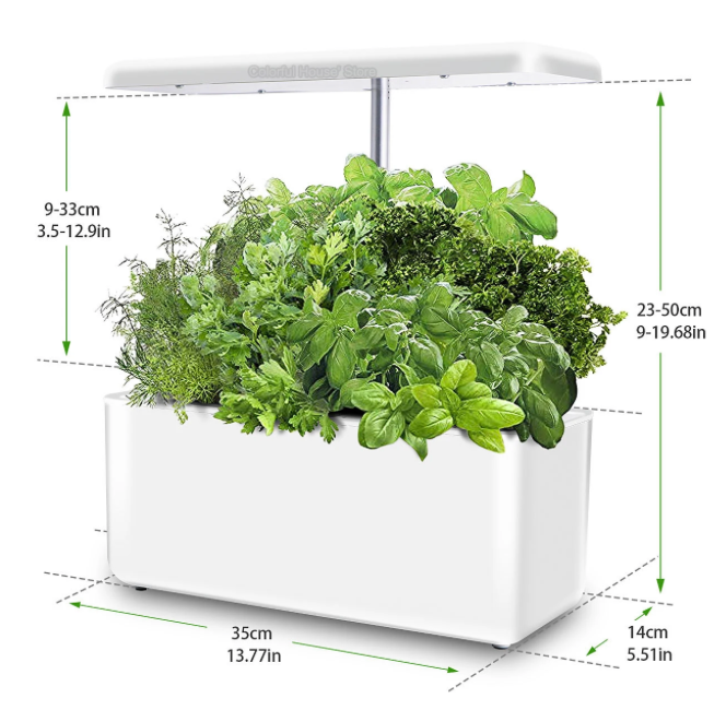 Indoor Veggie Patch (Hydroponic System)