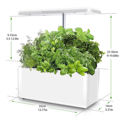 Indoor Veggie Patch (Hydroponic System)