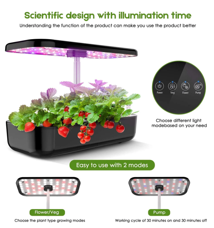 Indoor Veggie Patch (Hydroponic System)