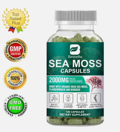 Sea Moss