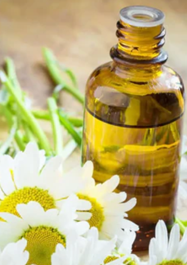 Organic Roman Chamomile Essential Oil Soothes Skin Relaxes Mind Relieves Stress and Sleep Aromatherapy Nourishes Hair