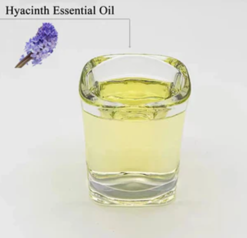 Hyacinth Essential Oil Long Lasting Diffuser Oils, Delightful Essential Oils, Relaxing Spring & Natural Aromatherapy Massage Oil