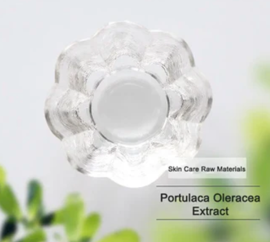 Pure Natural Purslane Extract Essence