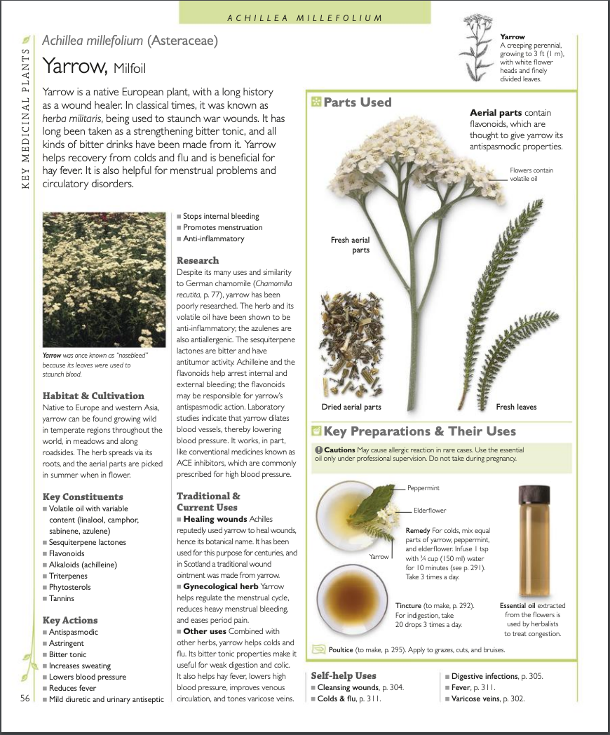 Encyclopedia of Herbal Medicine EBOOK