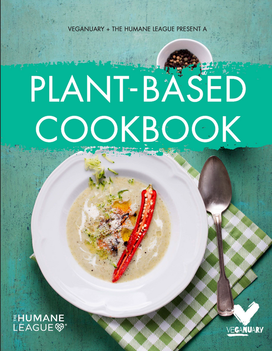 Plant Based Recipe Ebook Bundle