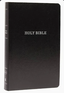 Holy Bible FREE ebook (set of various bibles and study books)