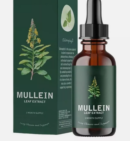 Mullein Leaf Extract with Elderberry 4 Fl Oz -