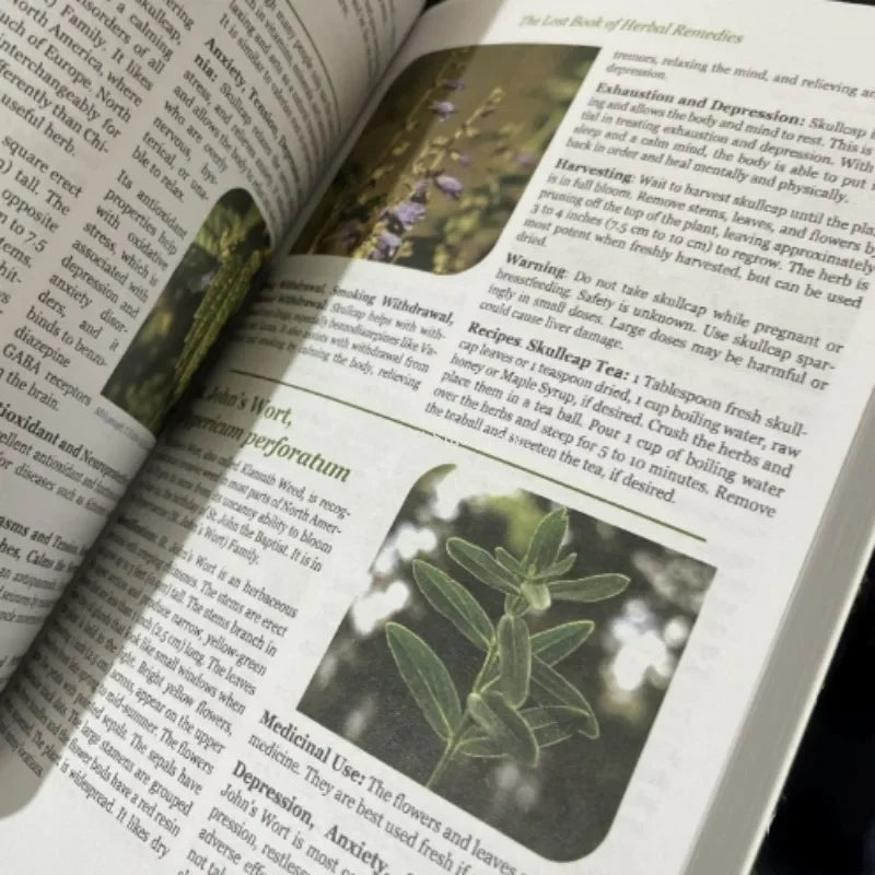 The Lost Book of Herbal Remedies the Healing Power of Plant Medicine Paperback